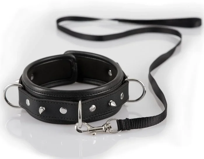 collar with spikes and leash