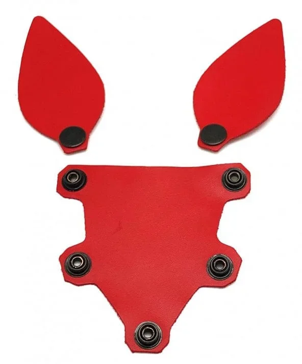 dog mask insert