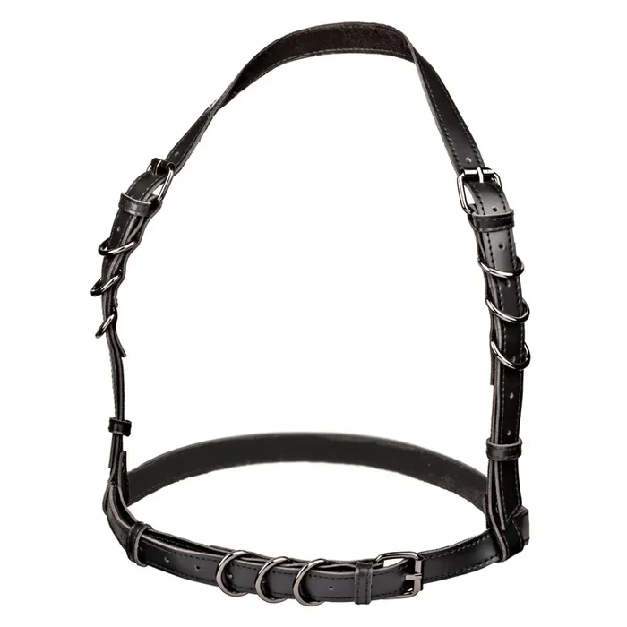 Euphoria Collection Halter Buckle Harness – Black