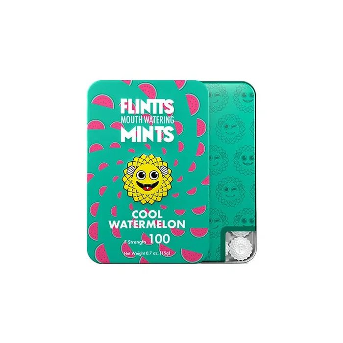 Flintts Mints Mouth Watering Mints