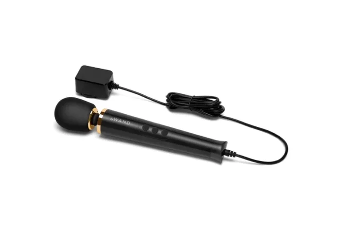 Le Wand Petite Plug In Powerful Vibrating Body Massager