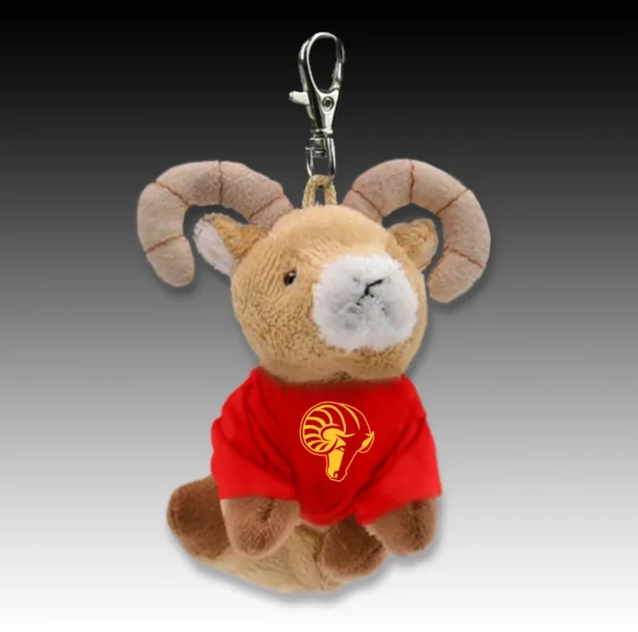 Ram Backpack Clip-on