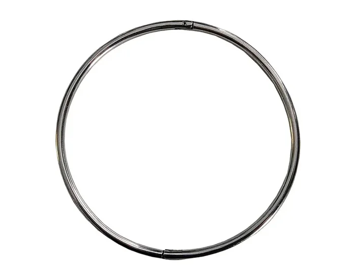 Rouge Stainless Steel Lockable Infinity Thin Collar